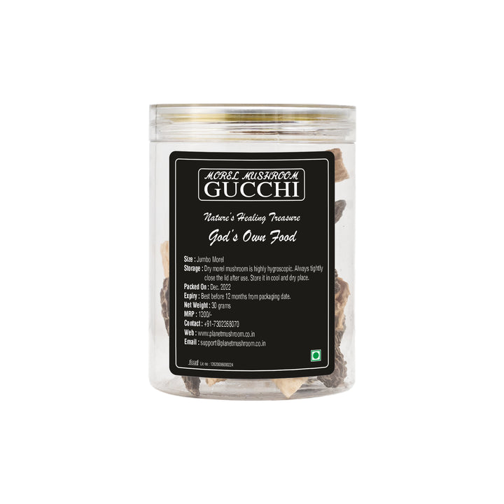 Morel Mushrooms Jumbo Size Gucchi