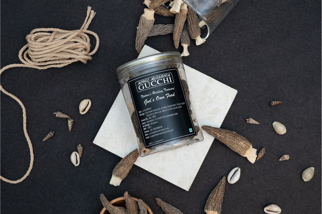 Morel Mushrooms Jumbo Size Gucchi