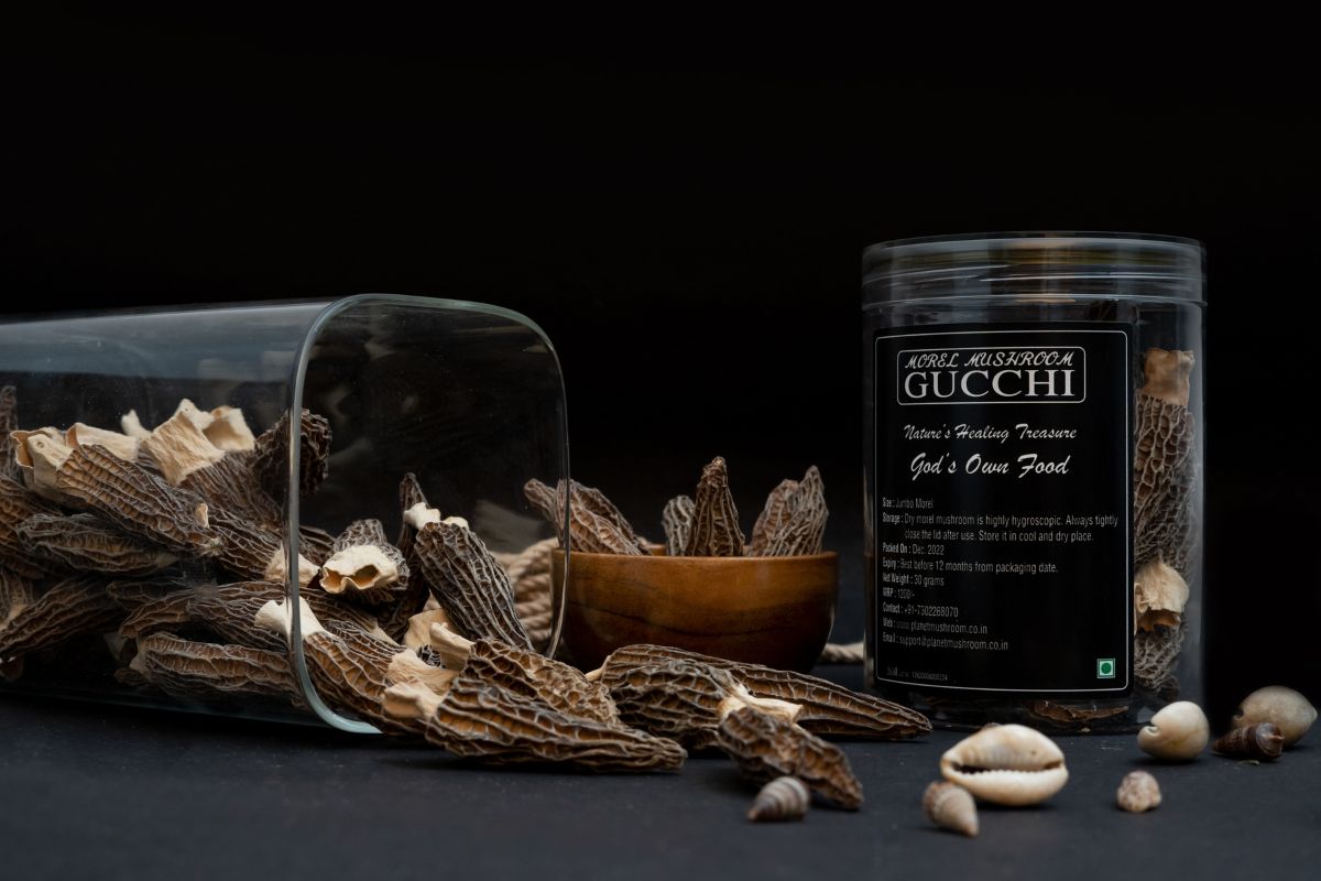Premium Morel Mushrooms (Gucchi Mushroom) 50g | My Pahadi Dukan