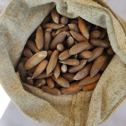 Pine Nuts/Chilgoza (nyoje) - with shell | Zangti