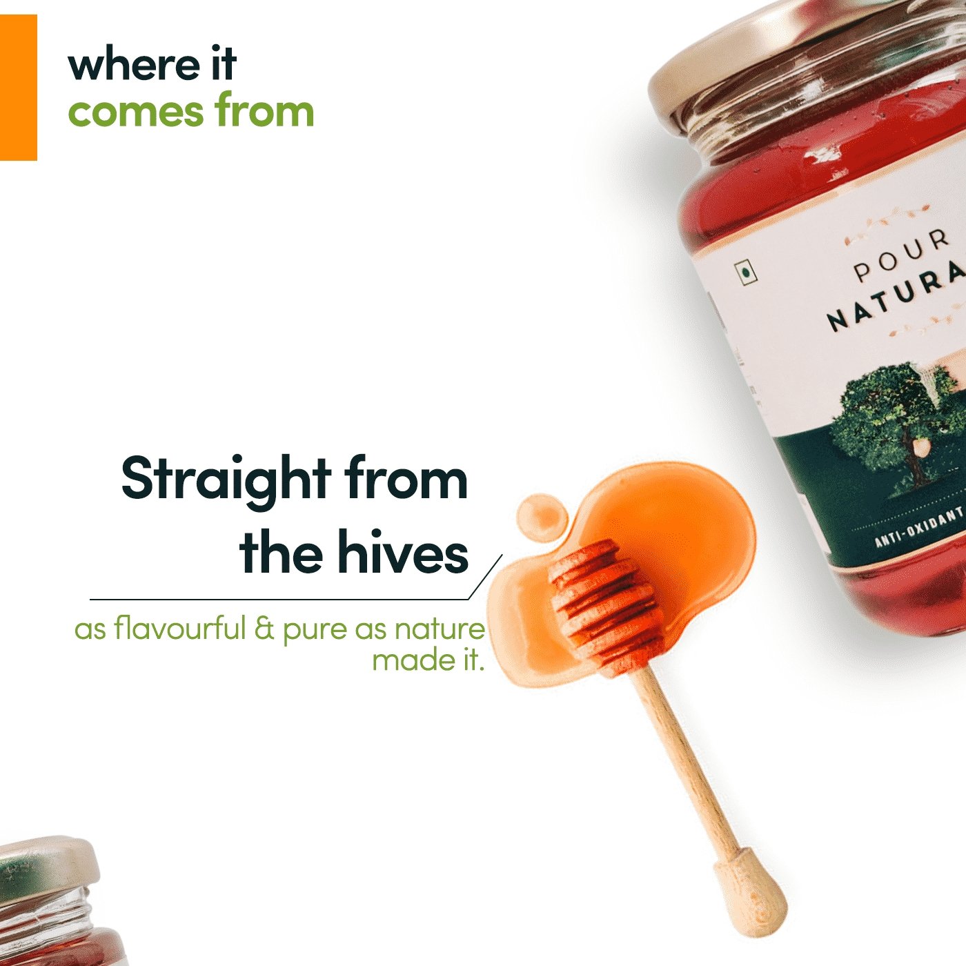 Buy Forest Honey | Pour Naturalé - My Pahadi Dukan - Online