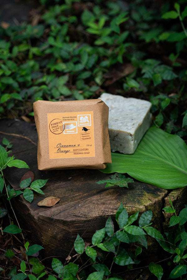 Buy Forest Post | Cinnamon & Orange – Exfoliating Beeswax Soap 135gms - My Pahadi Dukan - Online