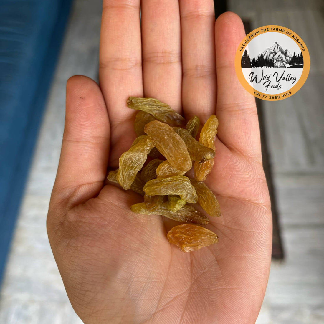 Buy Organic Golden Raisins Online | Dry Grapes | Kishmish Online | Wild Valley Foods