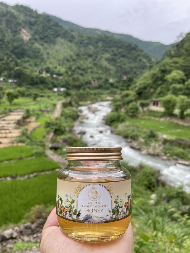 Buy Indian Borage Honey Online | Himalayan Chichri Honey | Ayantara