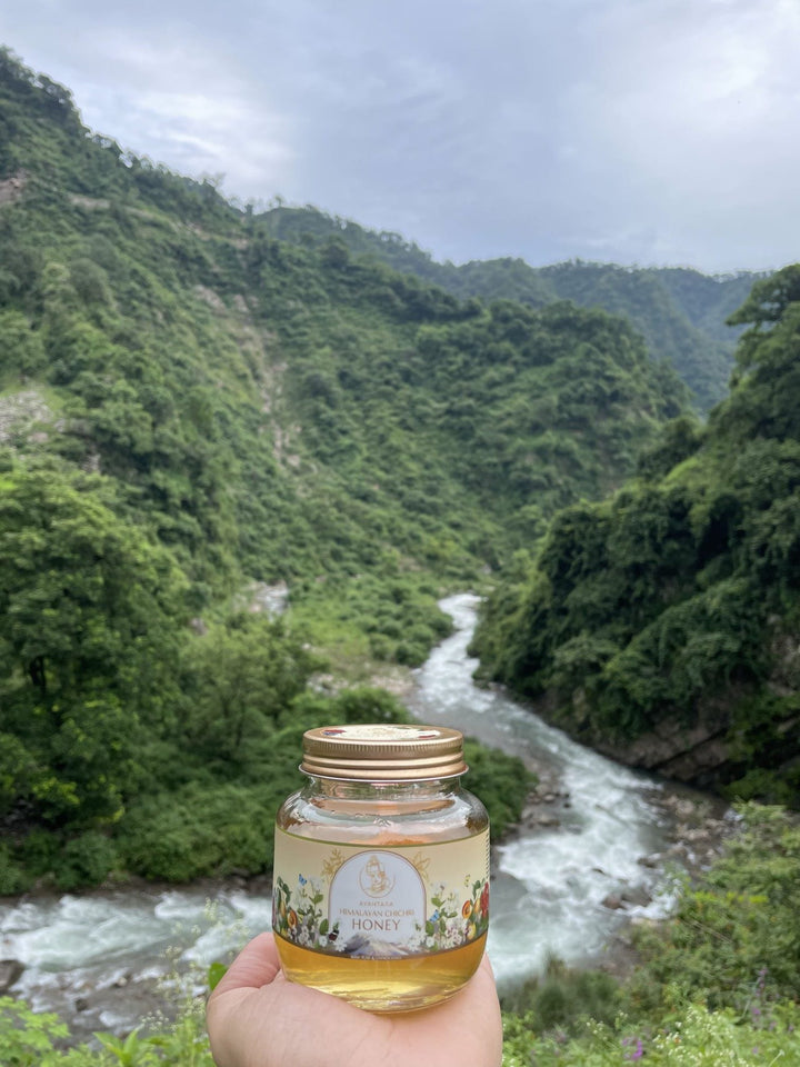 Buy Indian Borage Honey Online | Himalayan Chichri Honey- 250gms | Ayantara