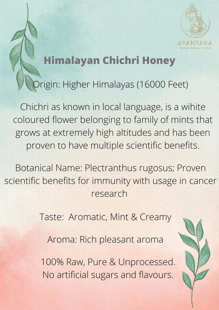 Buy Indian Borage Honey Online | About Himalayan Chichri Honey | Ayantara