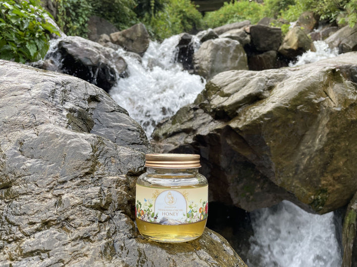 Buy Himalayan Chichri Honey 250gms (Limited Produce) | Ayantara - My Pahadi Dukan - Online