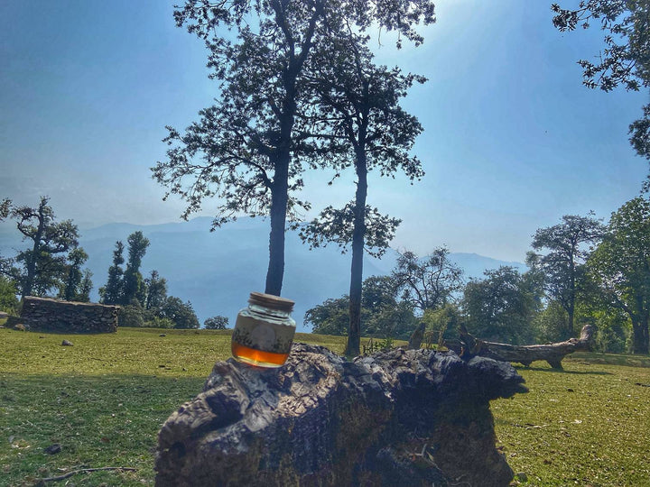 Buy Himalayan Multi Floral Honey 250gms (Limited Produce) | Ayantara - My Pahadi Dukan - Online