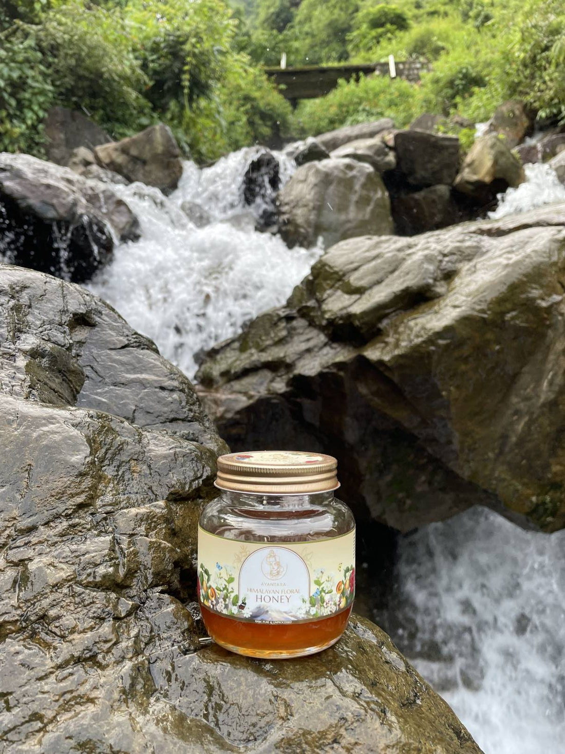 Buy Himalayan Multi Floral Honey 250gms (Limited Produce) | Ayantara - My Pahadi Dukan - Online