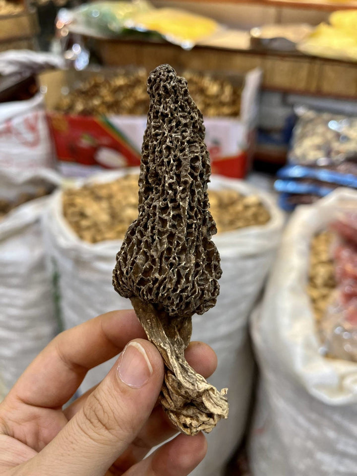 Buy Kashmiri Morel Mushrooms (Guchchi mushrooms) | Wild Valley Foods - My Pahadi Dukan - Mushroom Online