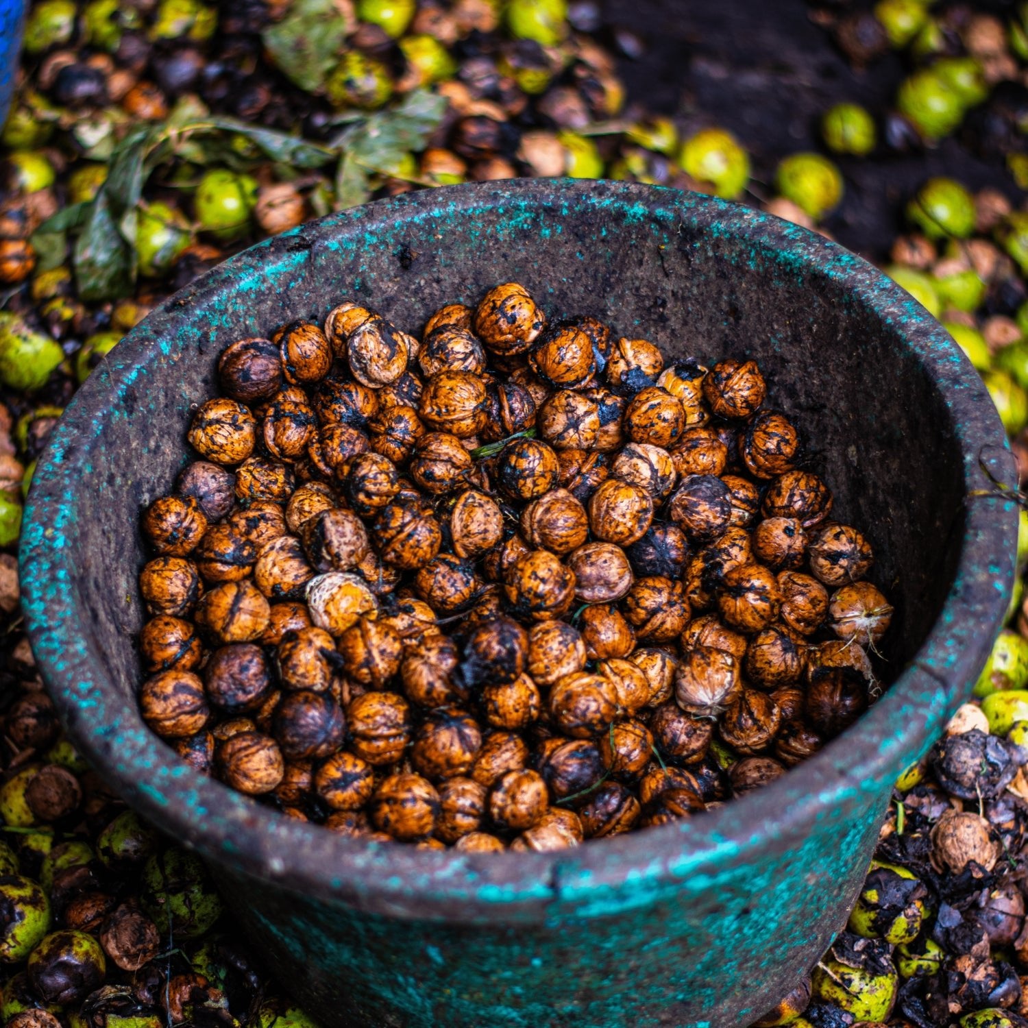 Buy Kashmiri Walnut Kernels Online | Brown Kashmiri Akhrot Price 