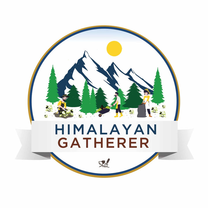 Buy Winter White Honey | Himalayan Gatherer - My Pahadi Dukan - Online